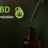 CBD Olje – Norge’s BESTE med 0,0% THC ~ CBDRevo.no